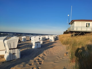 Strand Zempin