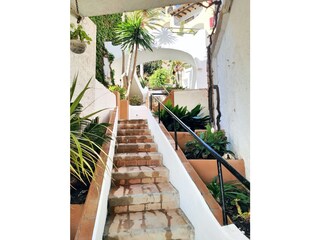 Appartamento per vacanze Paguera Ambiente 24