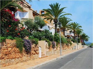 Appartamento per vacanze Paguera Ambiente 29