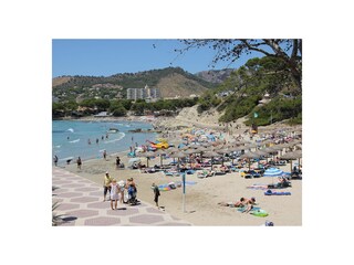 Appartamento per vacanze Paguera Ambiente 35