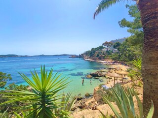 Appartamento per vacanze Paguera Ambiente 36