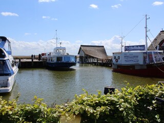 Hafen