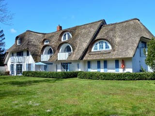 Garten, Terrasse  mit Schirm
