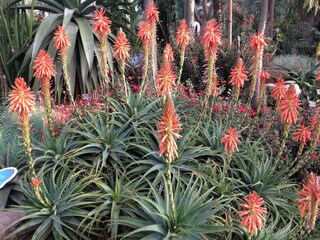 Appartamento per vacanze Santa Teresa Gallura Registrazione all'aperto 9