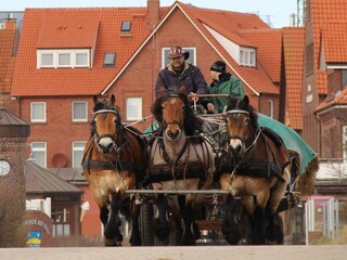 Pferdekutsche