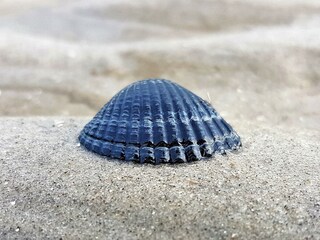 am Meer