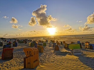 Strandkörbe im Sonnenuntergang
