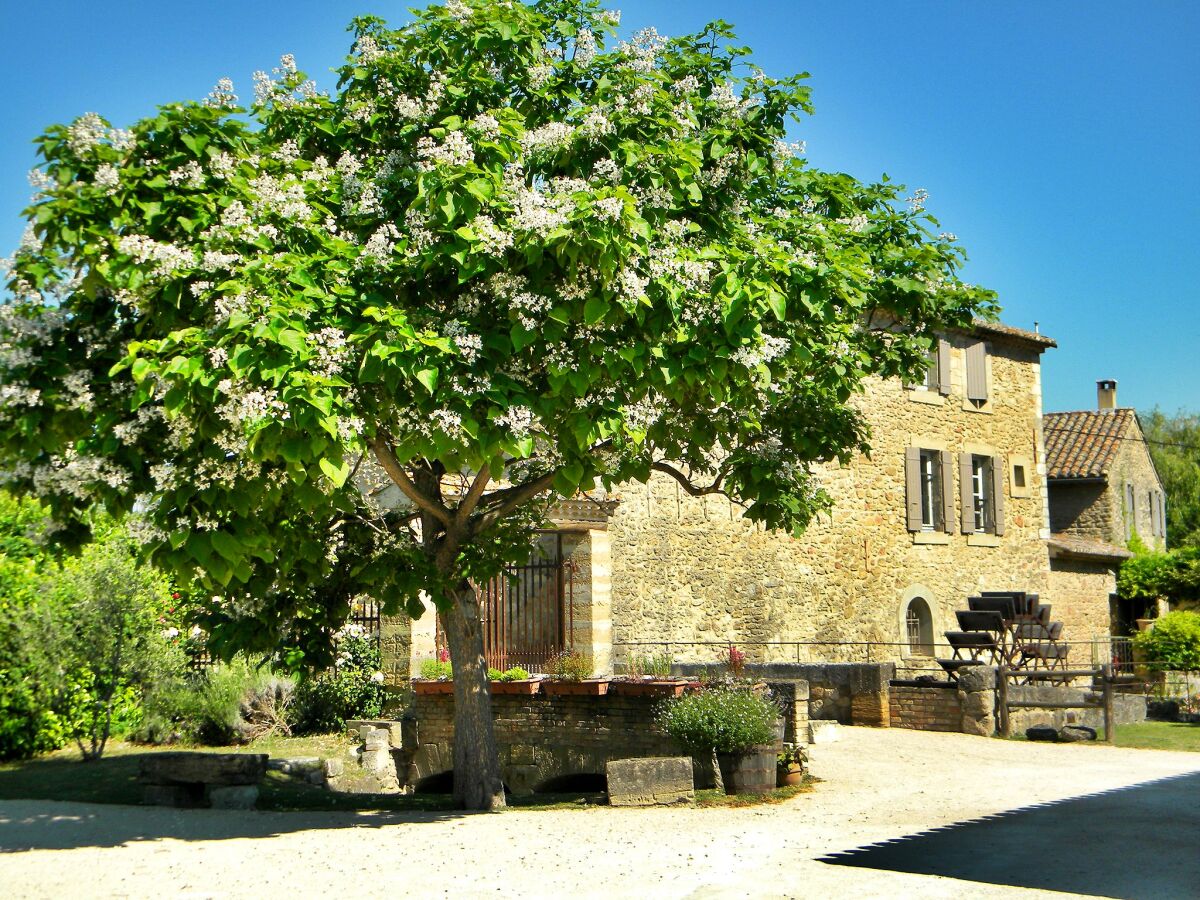 Landhaus Entraigues-sur-la-Sorgue Außenaufnahme 10