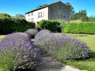 Maison de vacances Entraigues-sur-la-Sorgue Environnement 35