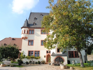 Schloss Schönborn