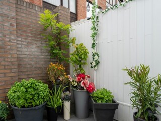 Casa de vacaciones Vlissingen Grabación al aire libre 7