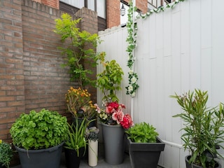 Vakantiehuis Vlissingen Buitenaudio-opname 4