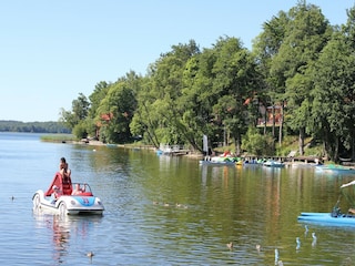 Parc de vacances Bieniasze  29