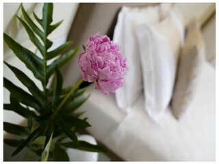 Appartamento per vacanze Venedig Caratteristiche 16