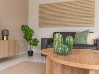 Casa per le vacanze Sint Maartensvlotbrug Caratteristiche 13