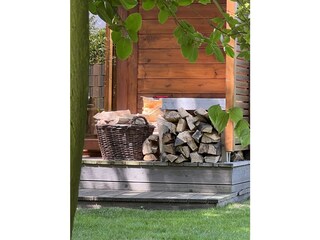 Villa Großenbrode Outdoor Recording 14