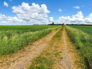 Ferienhaus Højer Außenaufnahme 3