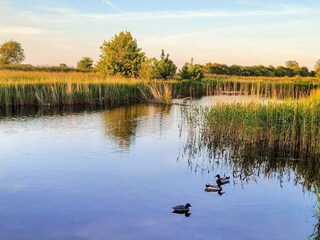Vakantiehuis Højer  22