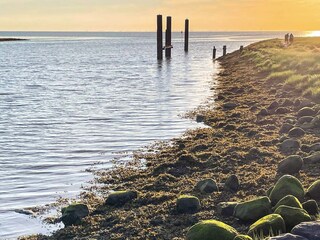 Vakantiehuis Højer  12