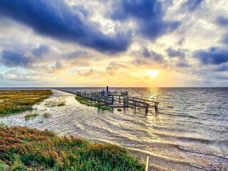 Ferienhaus Højer  35