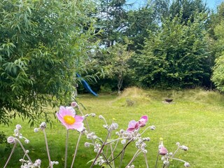 Casa per le vacanze Udsholt Strand Registrazione all'aperto 1