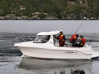 Ferienhaus Nedstrand  24
