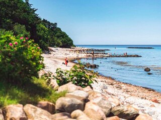 Maison de vacances Gilleleje  43