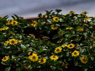 Vakantiehuis Durbuy Omgeving 40