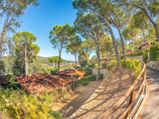 Bungalow Laigueglia Außenaufnahme 11