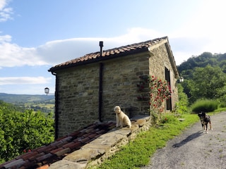 La Casetta mit den Hunden