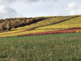 Herbst im Zellertal
