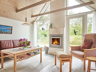 Ferienhaus Sommerodde  8