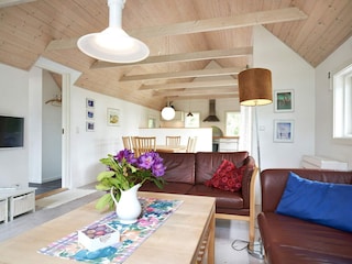 Ferienhaus Sommerodde  16