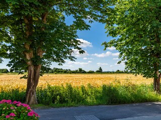 Appartamento per vacanze Greetsiel Registrazione all'aperto 8