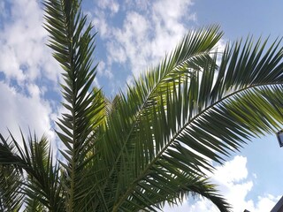 Appartamento Suđurađ  18