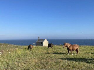 Casa per le vacanze Landéda Ambiente 45