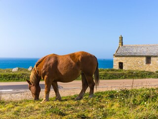 Casa per le vacanze Porspoder Ambiente 40