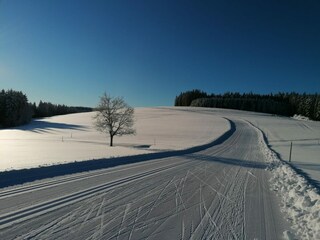 Appartamento per vacanze Breitnau Ambiente 32