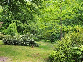 Casa de vacaciones Örkelljunga Grabación al aire libre 2