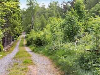 Holiday house Örkelljunga Outdoor Recording 7