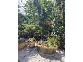 Casa de vacaciones Groß Nemerow Grabación al aire libre 7