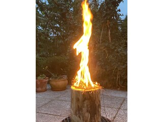 Casa de vacaciones Groß Nemerow Grabación al aire libre 10
