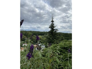 Casa per le vacanze Groß Nemerow Registrazione all'aperto 12