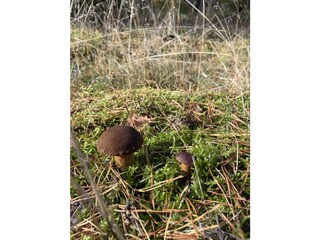 Casa per le vacanze Groß Nemerow Ambiente 29