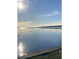 Casa per le vacanze Groß Nemerow Ambiente 31