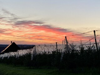 Appartamento per vacanze Friedrichshafen Ambiente 36