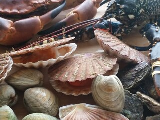 Casa per le vacanze Brignogan-Plage Ambiente 39