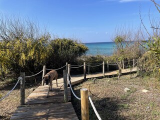 Casa per le vacanze San Pietro in Bevagna Ambiente 28
