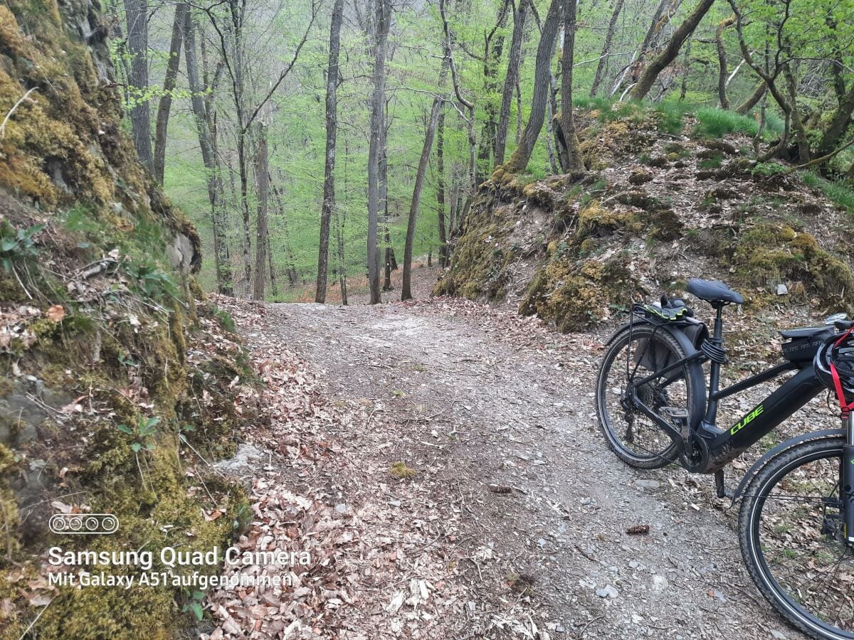 Rad- und Wanderwege in der Region