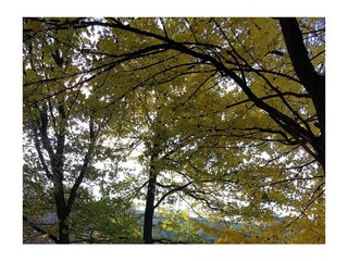 Casa per le vacanze Meschede Ambiente 33